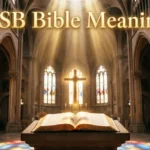 CSB Bible Meaning
