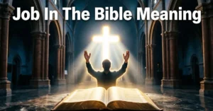 Job In The Bible Meaning